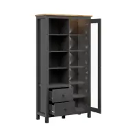 Witryna Hesen 106 cm z drzwiami i 2 szufladami grafit