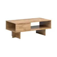 Mesa de centro Zele 120x60 con estante roble wotan