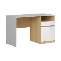 Escritorio Nandu 120 cm con puerta, cajón y estante gris claro/roble polaco