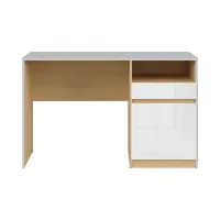 Escritorio Nandu 120 cm con puerta, cajón y estante gris claro/roble polaco