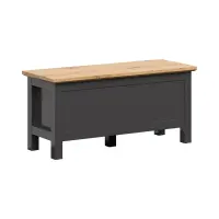 Baúl Hesen 47x100 cm grafito