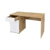 Escritorio Zele 120 cm con puerta y cajón roble wotan/blanco