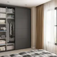 Armario de puertas correderas Flex 200 cm con espejo grafito