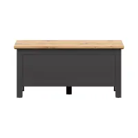 Baúl Hesen 47x100 cm grafito