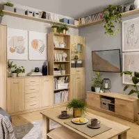 Cómoda Nepo Plus 119 cm con 2 puertas y 4 cajones roble sonoma