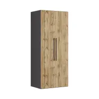 Armario de dos puertas Flex 100 cm grafito/roble wotan