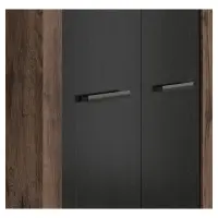 Armario de dos puertas Balin 98 cm roble monastery/roble negro