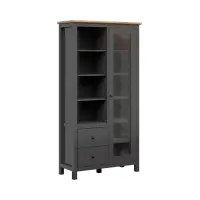 Witryna Hesen 106 cm z drzwiami i 2 szufladami grafit