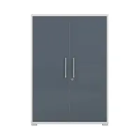 Armario Office Lux 79 cm de dos puertas con llave gris claro/grafito cristal