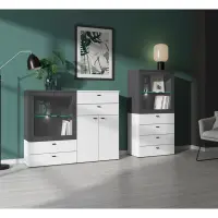 Vitrina System 64 de 2 puertas grafito