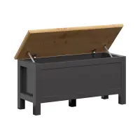 Baúl Hesen 47x100 cm grafito