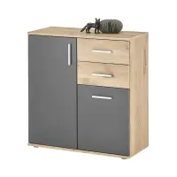 Cómoda BC 80 cm con 2 puertas y 2 cajones roble vikingo/gris