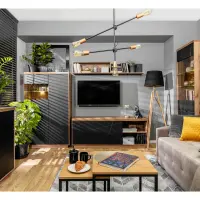 Mueble RTV Forn 156 cm con 2 cajones y estante roble delano oscuro/negro