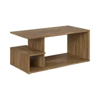 Mesa de centro Gato 100x50 con estante roble stirling