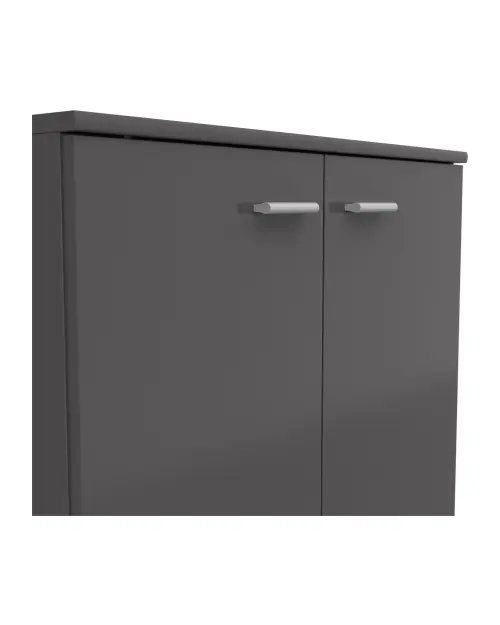 Noeda cabinet 71 cm with 2 doors graphite