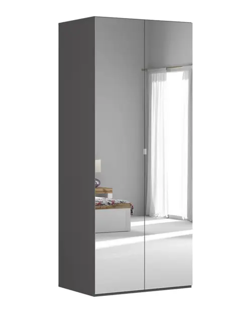 Two-door wardrobe Flex 100 cm with mirror graphite