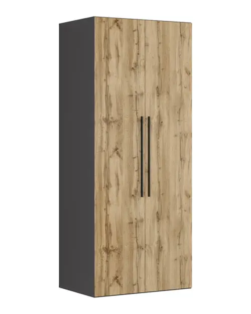 Two-door wardrobe Flex 100 cm graphite/oak wotan