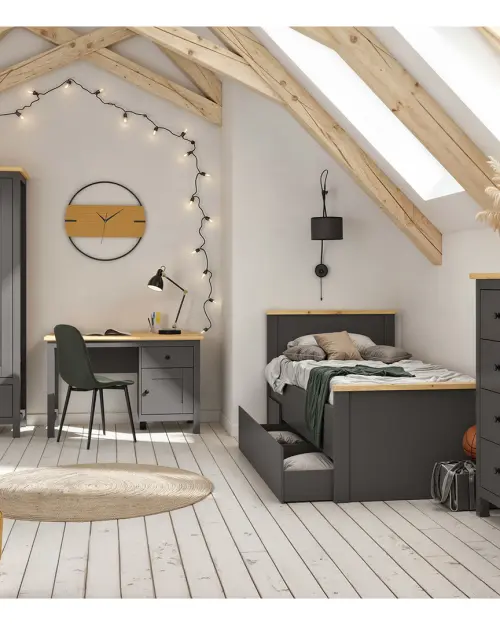 Armario de dos puertas Hesen 101 cm grafito/roble artisan