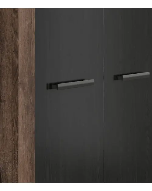 Armario de dos puertas Balin 98 cm roble monastery/roble negro