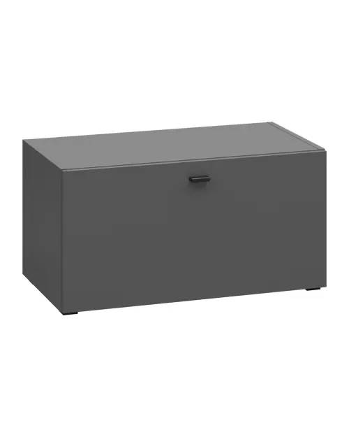 Armario System 64 de una puerta grafito