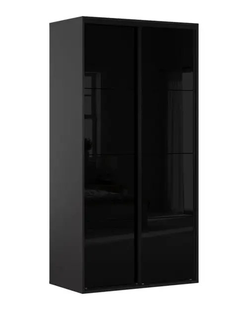 Шкаф-купе Flex 120 см графит/черный глянец