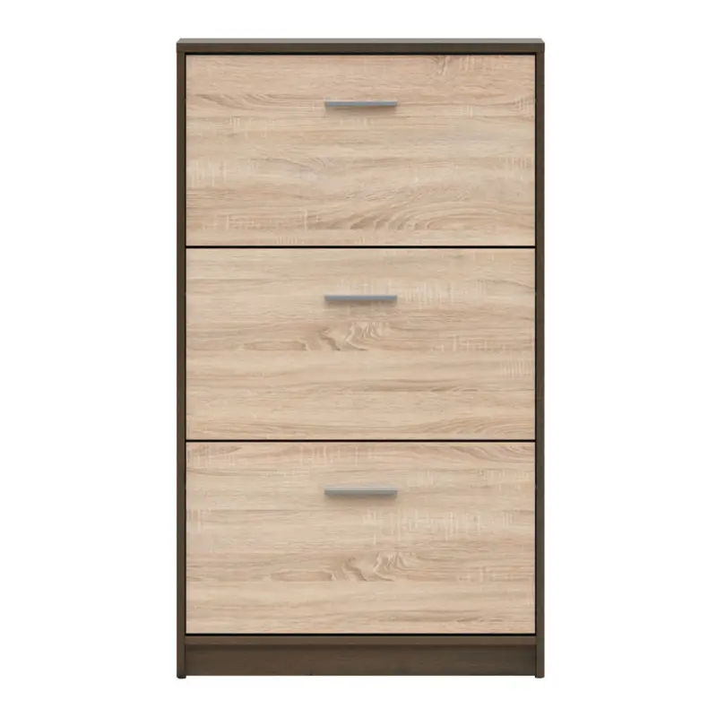 Organización Inteligente