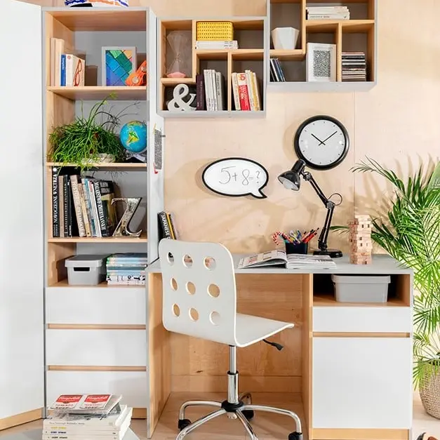 Espacio y organización